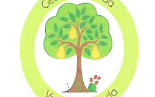 Különórák